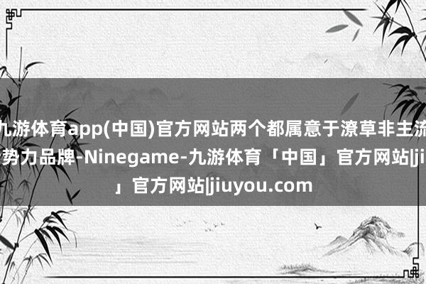 九游体育app(中国)官方网站两个都属意于潦草非主流联想风的新势力品牌-Ninegame-九游体育「中国」官方网站|jiuyou.com