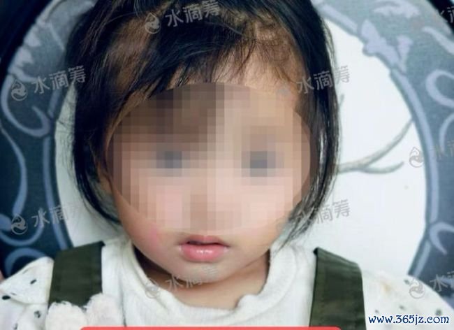 狗闯进村民家中咬女童被打死 农村犬患治理困局