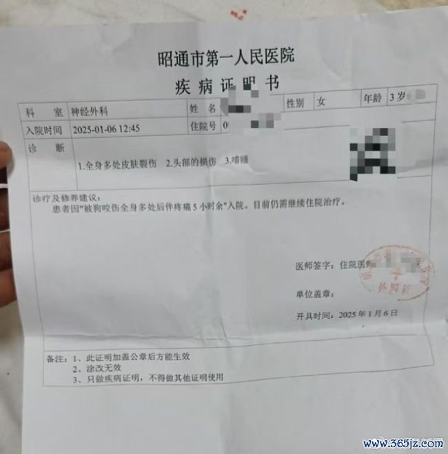 狗闯进村民家中咬女童被打死 农村犬患治理困局