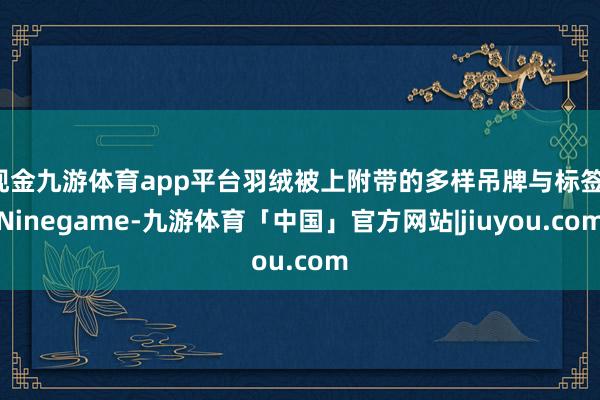 现金九游体育app平台羽绒被上附带的多样吊牌与标签-Ninegame-九游体育「中国」官方网站|jiuyou.com