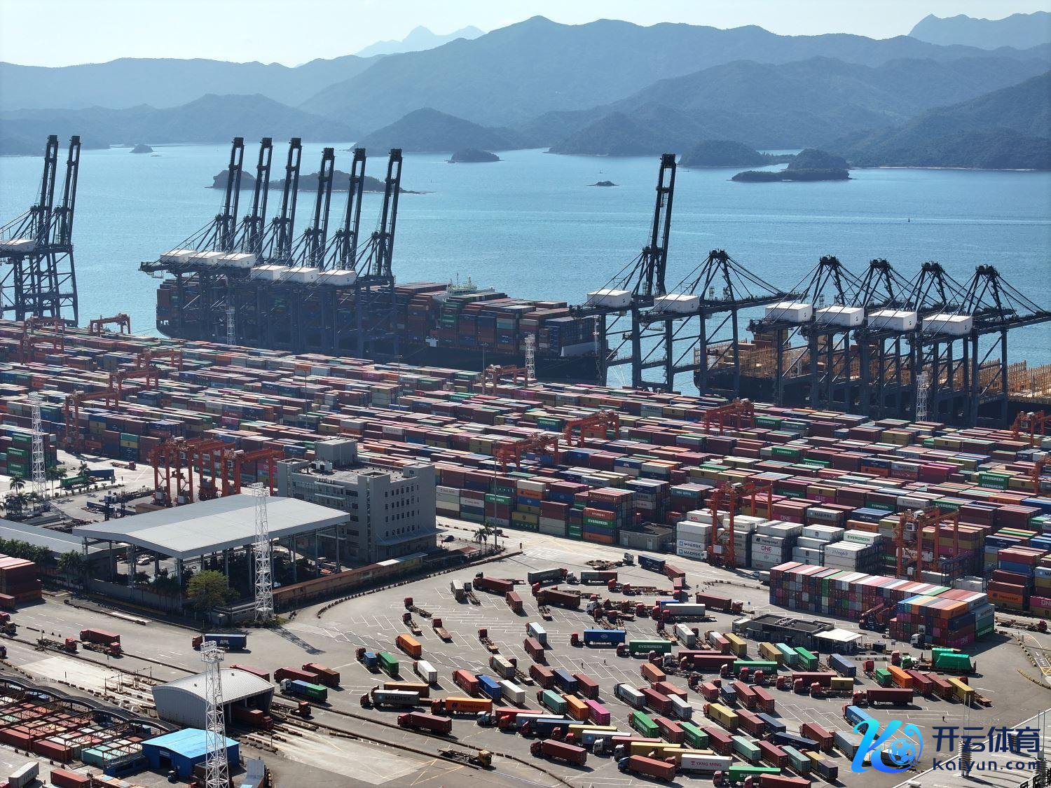 1737727936564338.jpg 1111.jpg